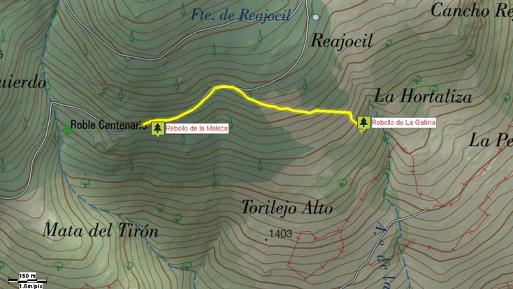 Mapa acceso al Rebollo de la Gallina. Lozoya del Valle. Árbol Singular de la Comunidad de Madrid.