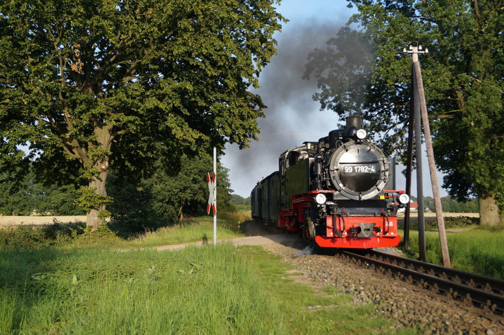 99 1782-4 kurz hinter dem Hp Beuchow © Sammlung Ansorge