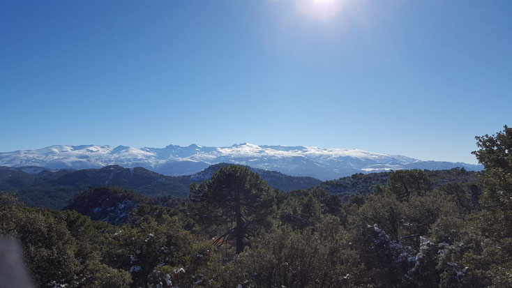 Fernblick von der Sierra de Huetor auf die spanische Sierra Nevada, noch sind wir unterhalb der Schneegrenze.