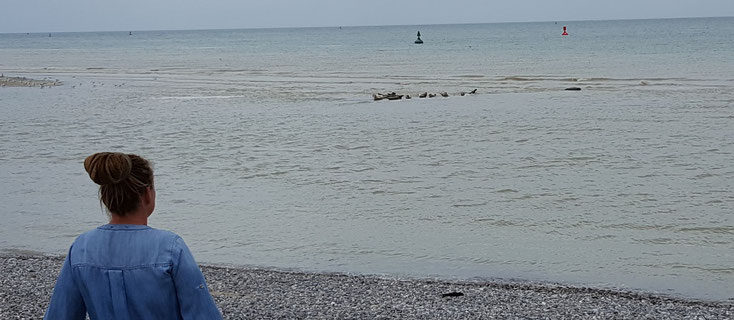 Die schwarzen Würmchen da sind Robben....ok, schlechtes Foto, mea culpa :o(