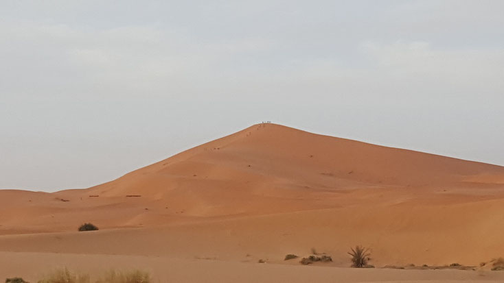 Um eine Idee von der Größe der Dünen zu bekommen....die Ameisen da auf der Spitze sind Menschen..und Kamele