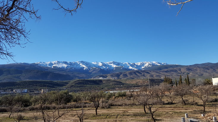 Blick vom Stellplatz auf die schneebedeckten Gipfel der Sierra Nevada