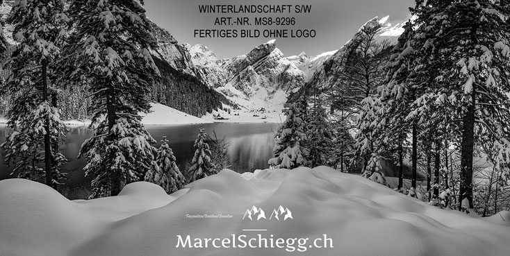 Seealpsee, Winter, Wandbild, Wanddeko