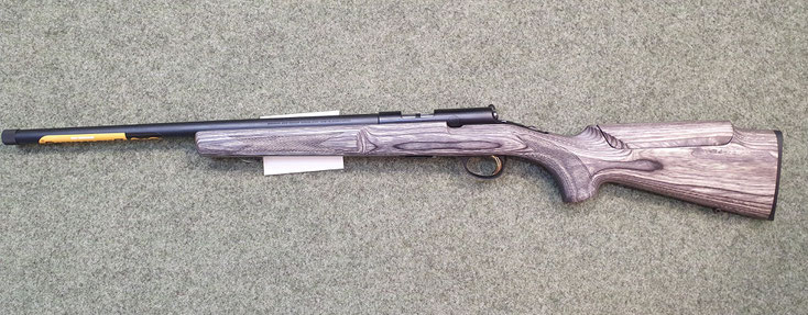 Browning t-bolt target .17 hmr