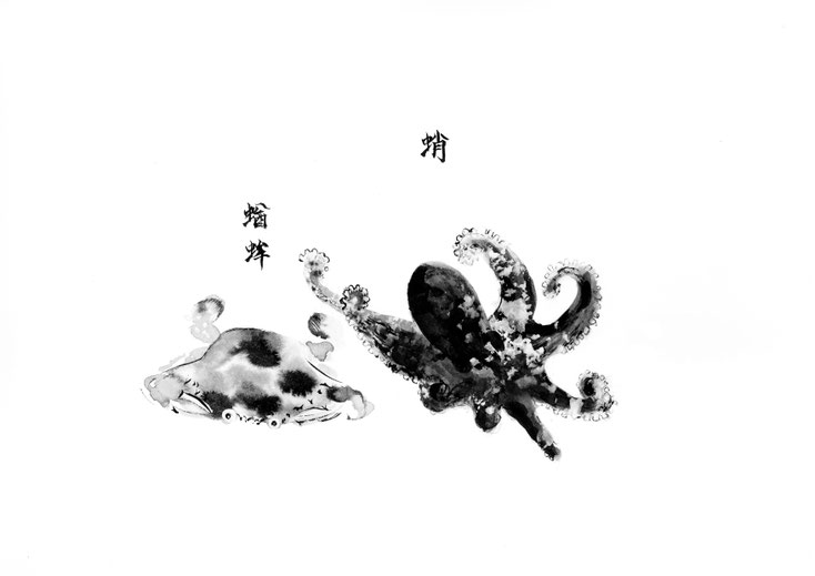 「蛸と蟹」　2019年5月　紙に墨、アクリル　21×29.7cm程度