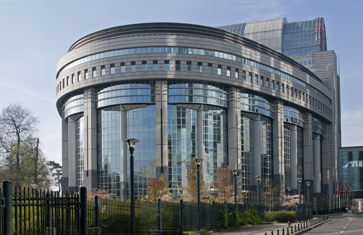European Parliament; corporate investigator Brussels, investigation company Brussels