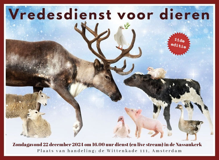 Animal Care International (ACI)