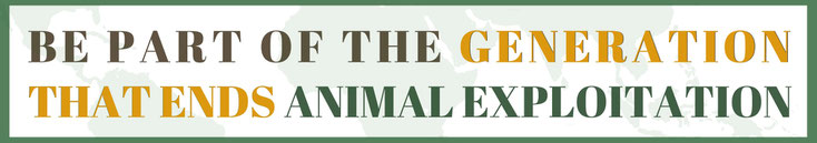 Animal Care International  ACI