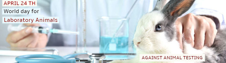 Animal Care International - ACI