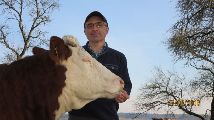 Bei uns können Sie hautnah Kontakt zu unseren Tieren aufnehmen.  Tagsüber sind alle Tiere auf der Weide. Bei Wanderungen laufen die Tiere ohne Strick und ohne Halfter. Der Herdentrieb ist stärker als jeder Strick.