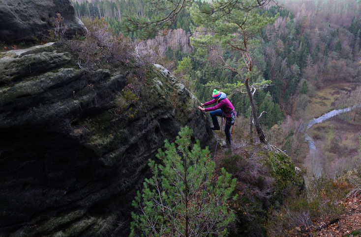 "Quacke" "für Liebhaber": Tiefblickspitze, AW - Foto: Helmut Schulze, 2018