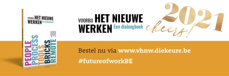 Nest Your Desk telewerk hybride werk Viviane Kock training opleidingen Boek Voorbij het nieuwe werken: een dialoog boek