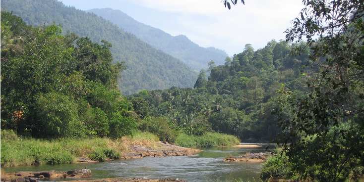 Kitulgala-Bridge-On-The-River-Kwai-rivier-Sri-Lanka-Film-Movie