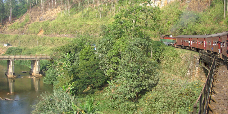 Haputale-Hatton-trein-Sri-Lanka