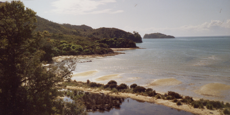 Abel-Tasman-nationaal-park-strand-Nieuw-Zeeland