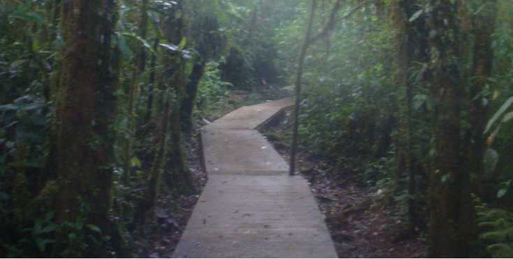Santa-Elena-nationaal-park-jungle-cloud-forest-Costa-Rica-paden