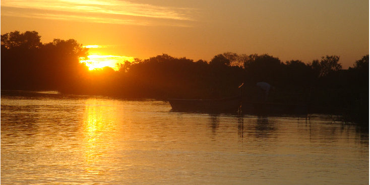 Pantanal-Jungle-Tour-boottrip--Piranha-Brazilië-moeras