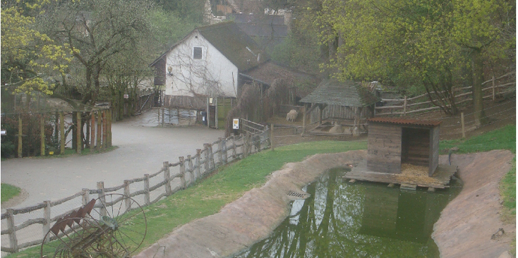 Jihlava-Tsjechië-dierentuin