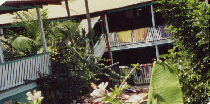 Byron-Bay-Arts-Factory-Lodge-Hostel-Terrace-Swimmingpool-Australia