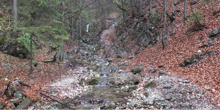 Slovensky-Raj-Nationaal-Park-bos-stroom-waterval-Slowakije