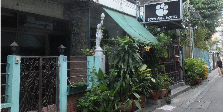 Born-Free-hostel-Bangkok-Thailand