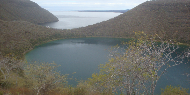 Galapagos-meer-bos-Ecuador