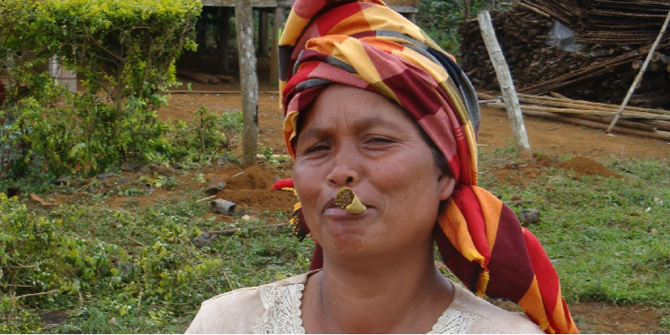 Bolaven-plateau-sigaar-Laos