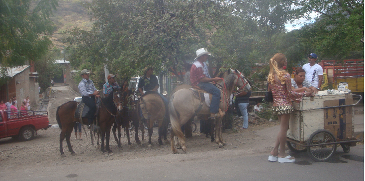 Miraflor-Nationaal-park-Esteli-kraampje-paarden-Nicaragua