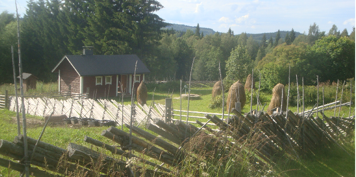 Olila-Koli-nationaal-park-waterpomp-camping-bossen-Finland