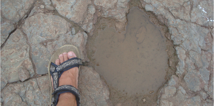 Sousa-Dinosaurus-Brazil-Footsteps