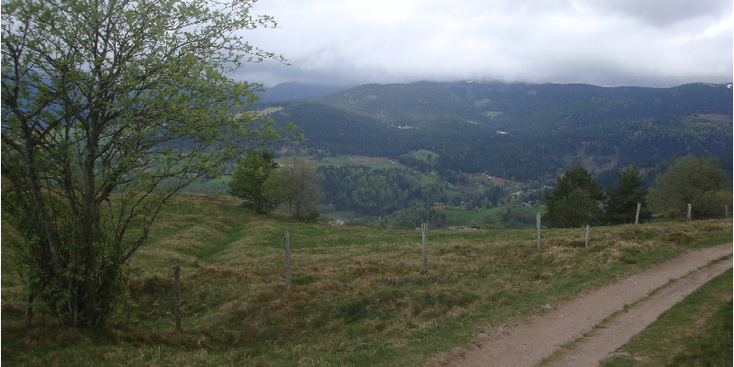 Le-Linge-Orby-Circuit-Historique-1914-1918-Hohrodberg-Camp-Morliere-Vogezen-gebergte-Frankrijk-loopgraven