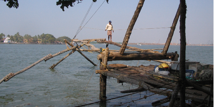 Kochi-Chinese-net-vis-visser-stal-India