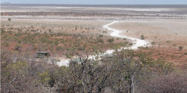 Etosha-nationaal-park-natuurpark-zoutpan-Namibië
