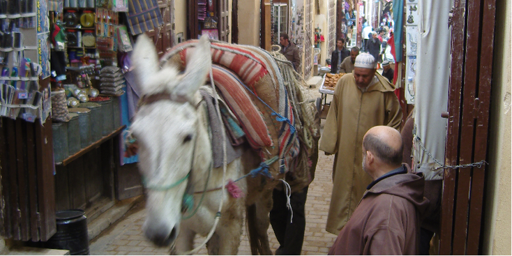 Fes-Fez-Marokko-Koningstad-bazaar-markt-souq-souk-muilezel-steeg-straatje-stal
