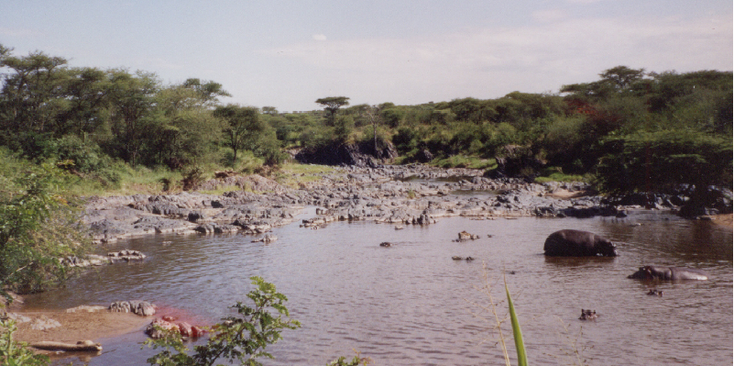 Serengeti-Tanzania-Nationaal-park-poel-vijver-nijlpaarden
