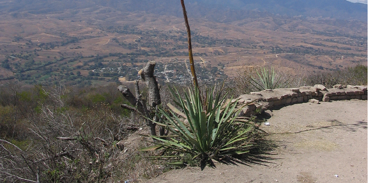 Monte-Alban-Azteken-indianen-tempel-Mexico