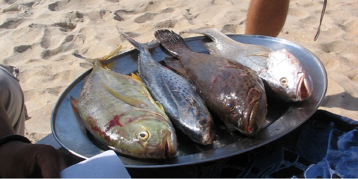 Palolem-Goa-India-Fresh-Fish