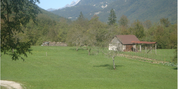 Kobarid-weiland-bergen-boerderij-Slovenië