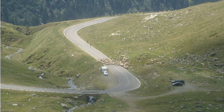 Transfagarasan-Road-militair-asfalt-bergen-schapen-Roemenië