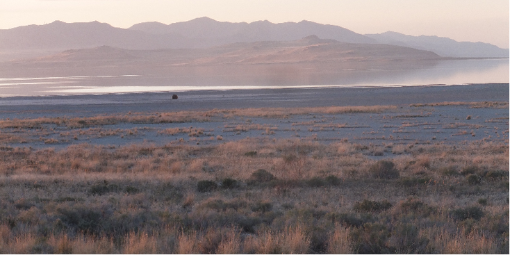 Antelope-Island-nationaal-park-Utah-Verenigde-Staten