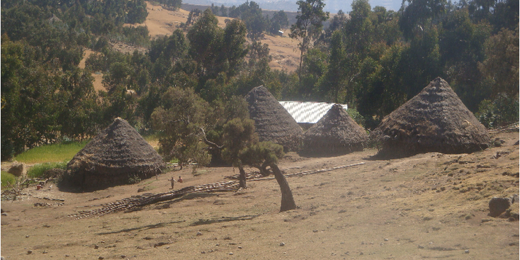 Simien-Nationaal-park-tukul-rondavel-rieten-hut-Ethiopië