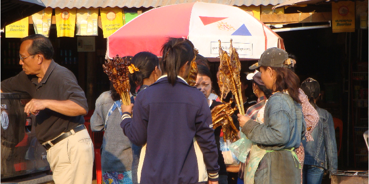 Gegrilde-kip-Pakse-Don-Det-Laos