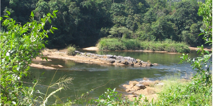 Kitulgala-rivier-jungle-Sri-Lanka