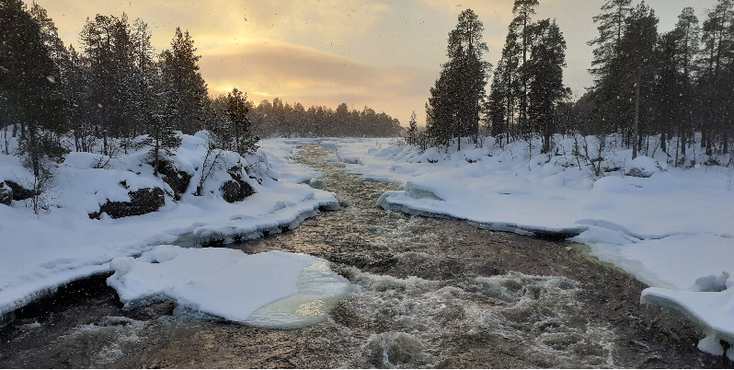 De kolkende rivier (inclusief hangbrug) vlakbij Inari te bereiken met de "Jutta" wandeling. 