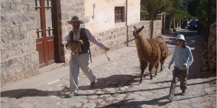 Tilcara-lama-Argentinië