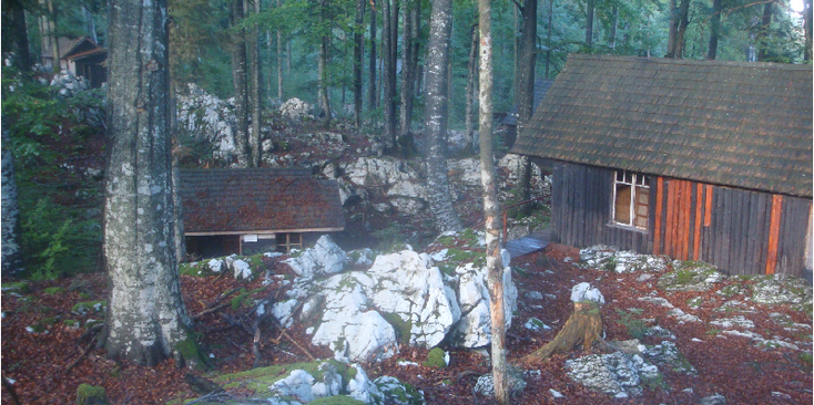 Base-20-partizanen-Tito-barakken-bos-Slovenië-Kocevski-Rog-Nationaal-Park