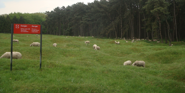 Beaumont-Hamel-loopgraven-kraters-mijnen-gevaar-WW1-Frankrijk
