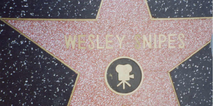 Walk-of-Fame-Stars-Wesley-Snipes-Hollywood-Boulevard-LA-Los-Angeles-Verenigde-Staten
