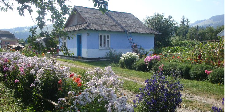 Karpaten-houten-blauw-huis-bloemen-gebergte-Oekraïne