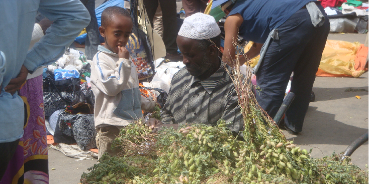 Addis-Ababa-Ethiopië-Markt-Kat-hoofdstad